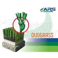 grass