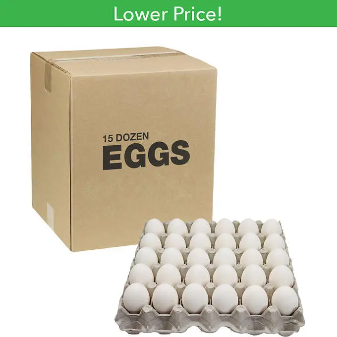 Chicken egg