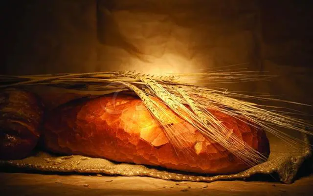 Harina de pan de Sardunya
