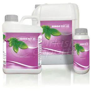 ADAGAPOT-25