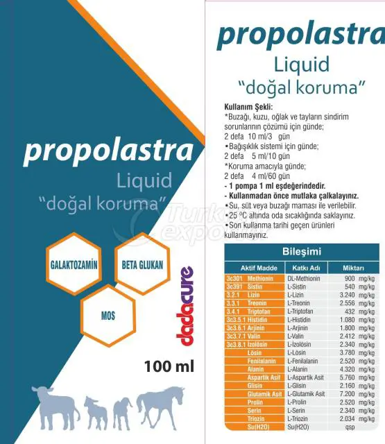 DADACURE PROPOLASTRA
