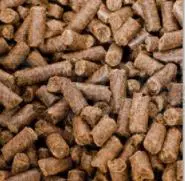 Wheat Bran