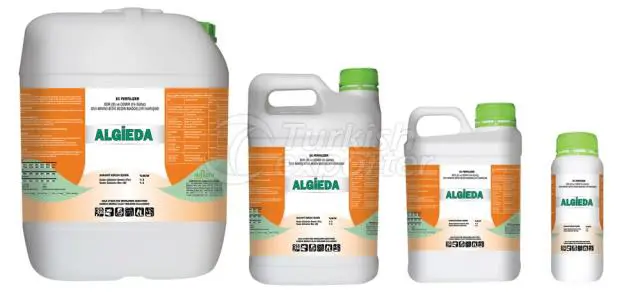 Algieda
