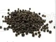 Black Pepper