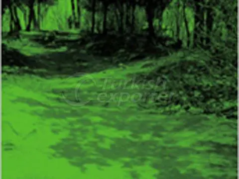 Night Vision System