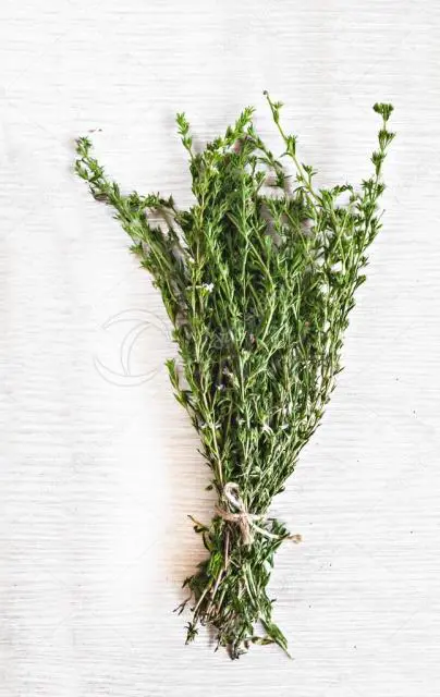 Thyme