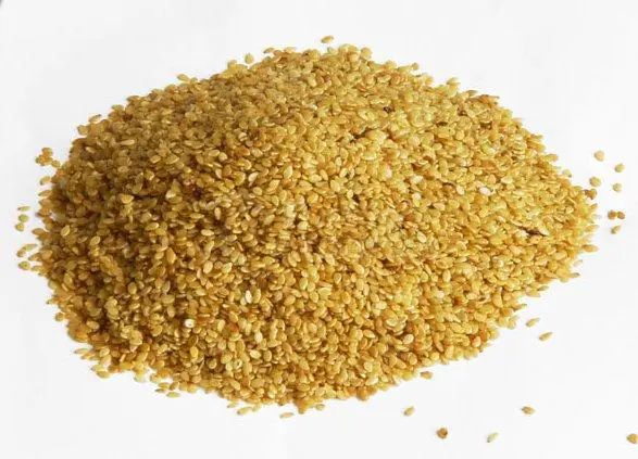 sesame seed