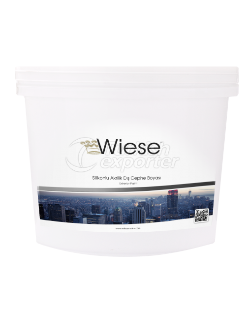 Acrylic Copolymer Based Exterior Paint