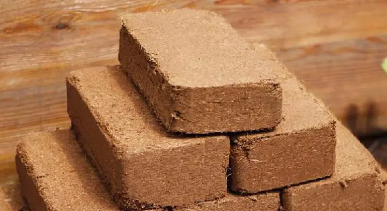 Coco Peat(Grow bags)