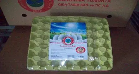 White Cover Egg 30'lu