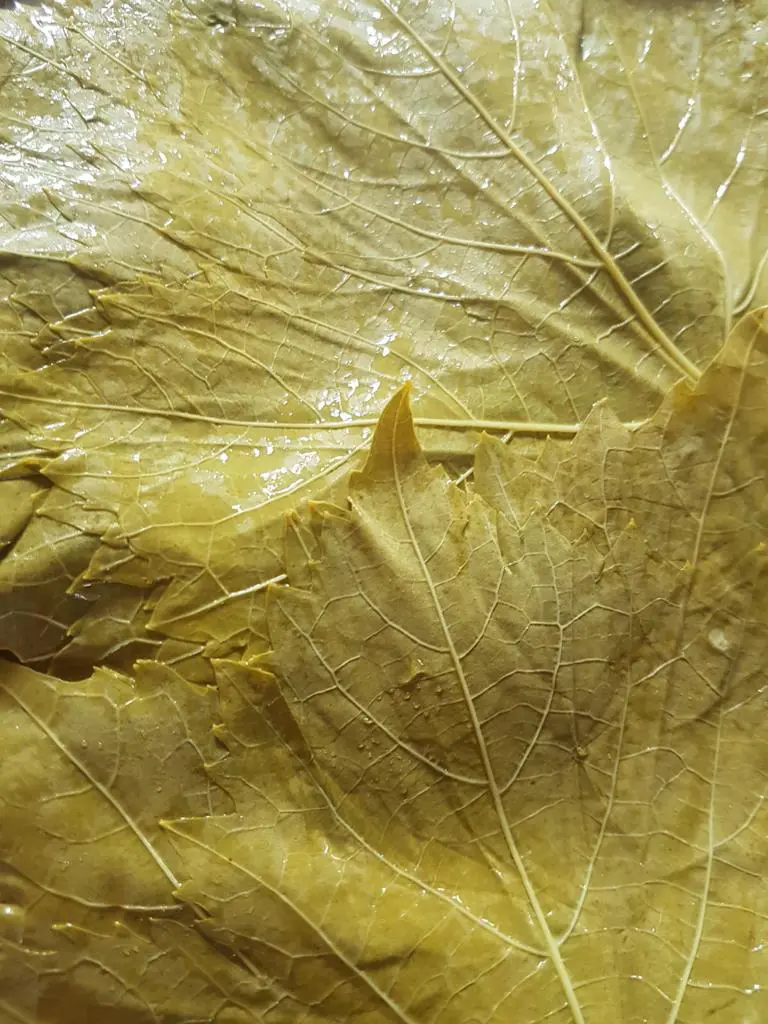 Natural Grape leaves