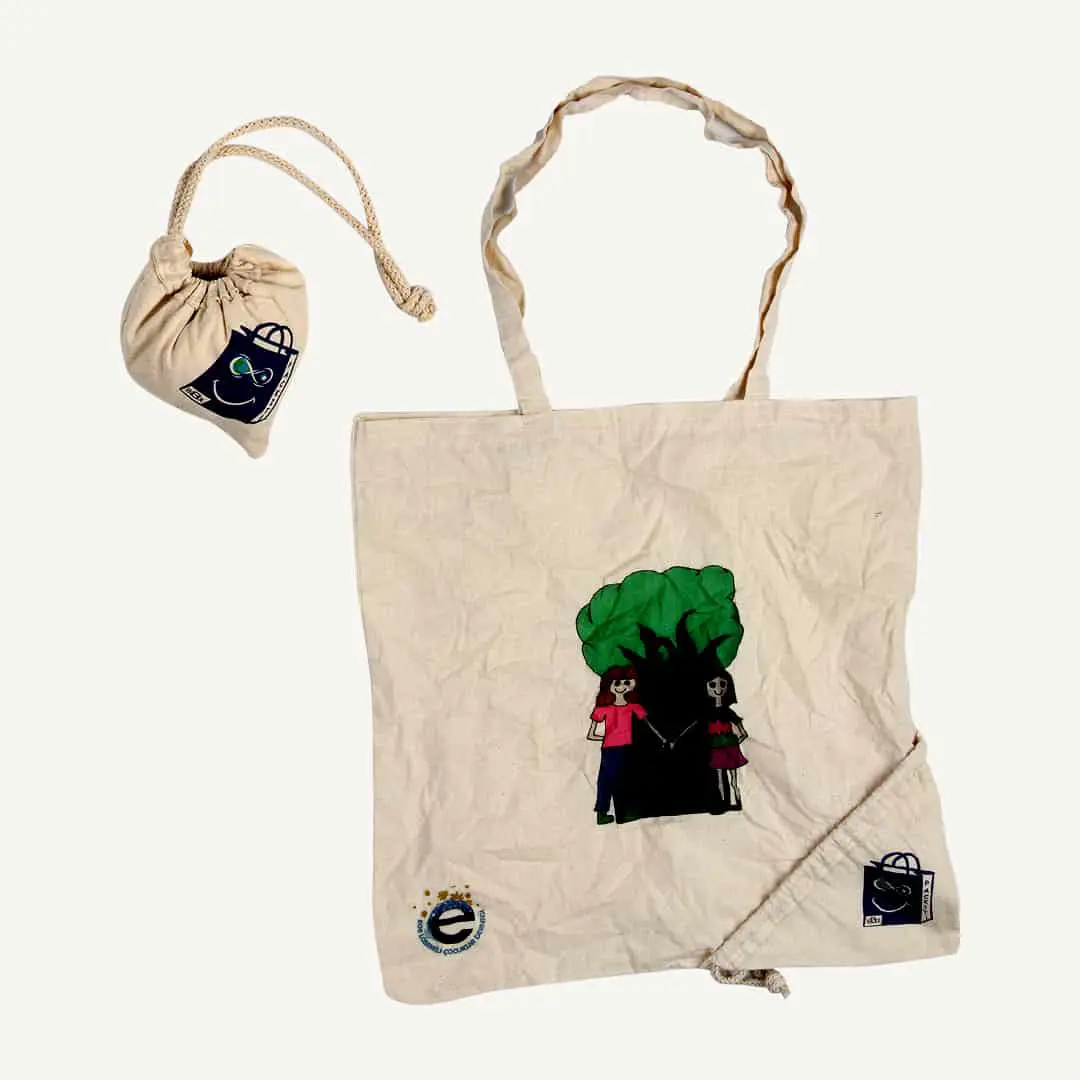 Foldable Bag