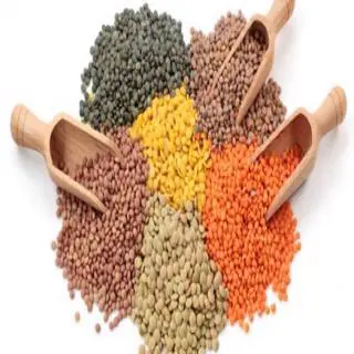Pulses