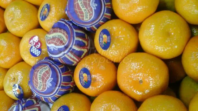 Mandalina