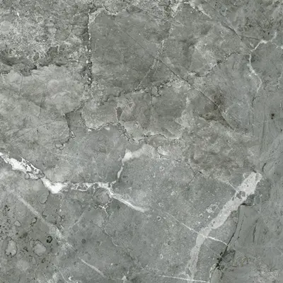 MOSS DARK PORCELAIN GRANITTE-Asusy Dis Ticaret Insaat Ltd. Sti.