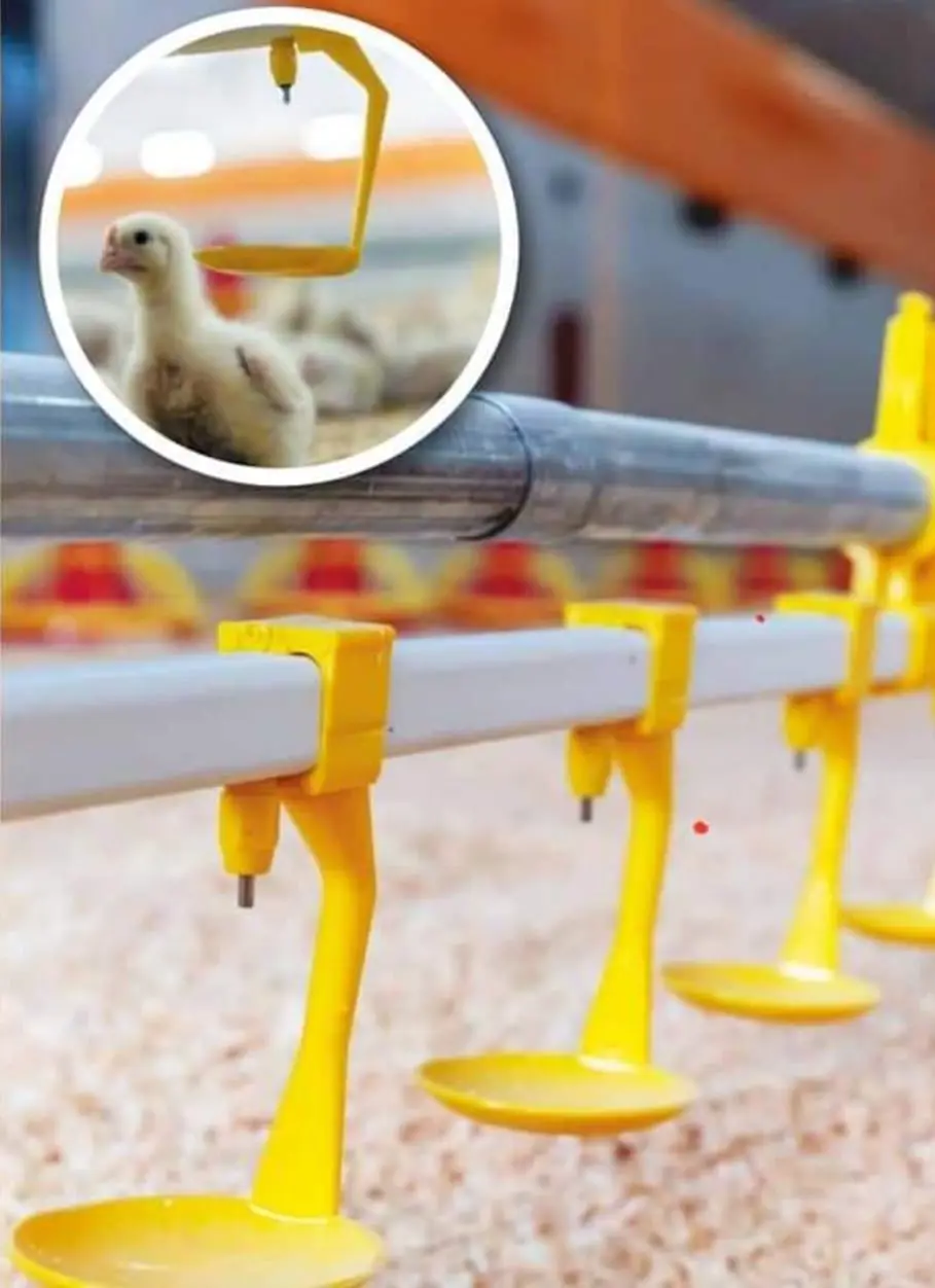 CHICKEN POULTRY NIPPLES DRINKING SYSTEMS ( Broiler Nipple Drinking Systems )