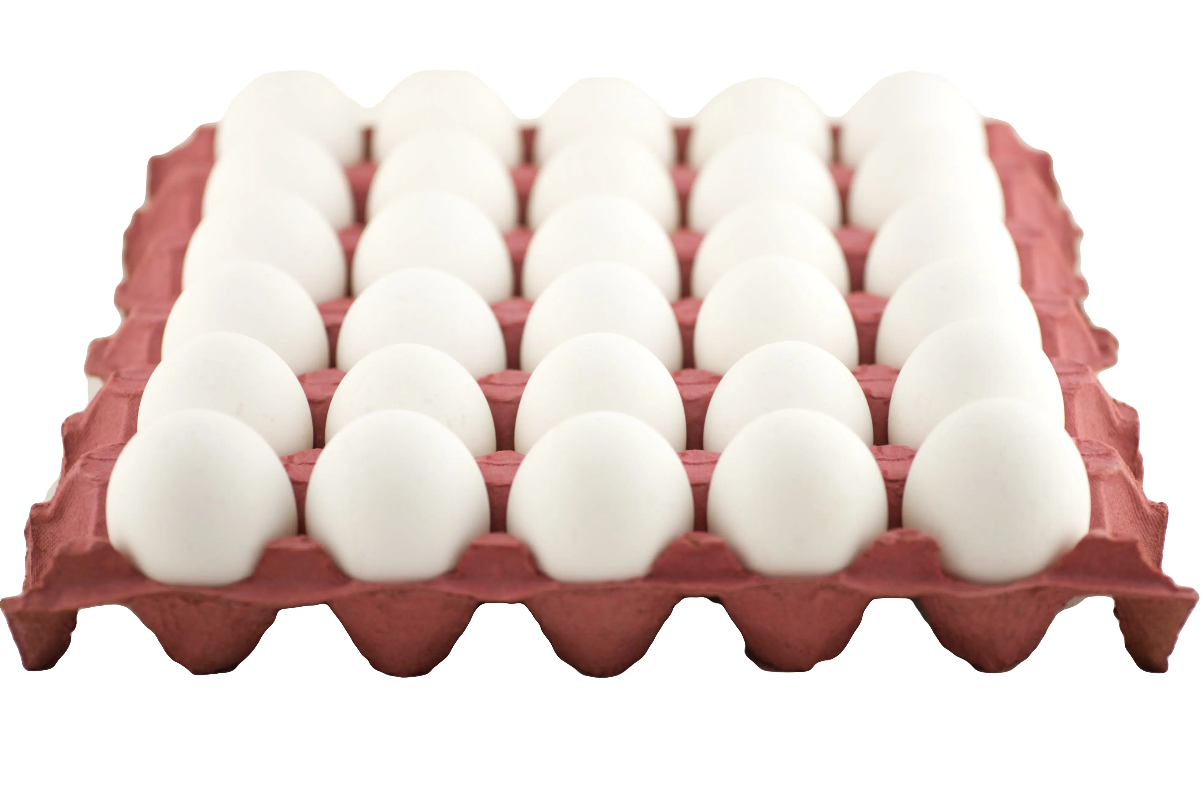egg trays