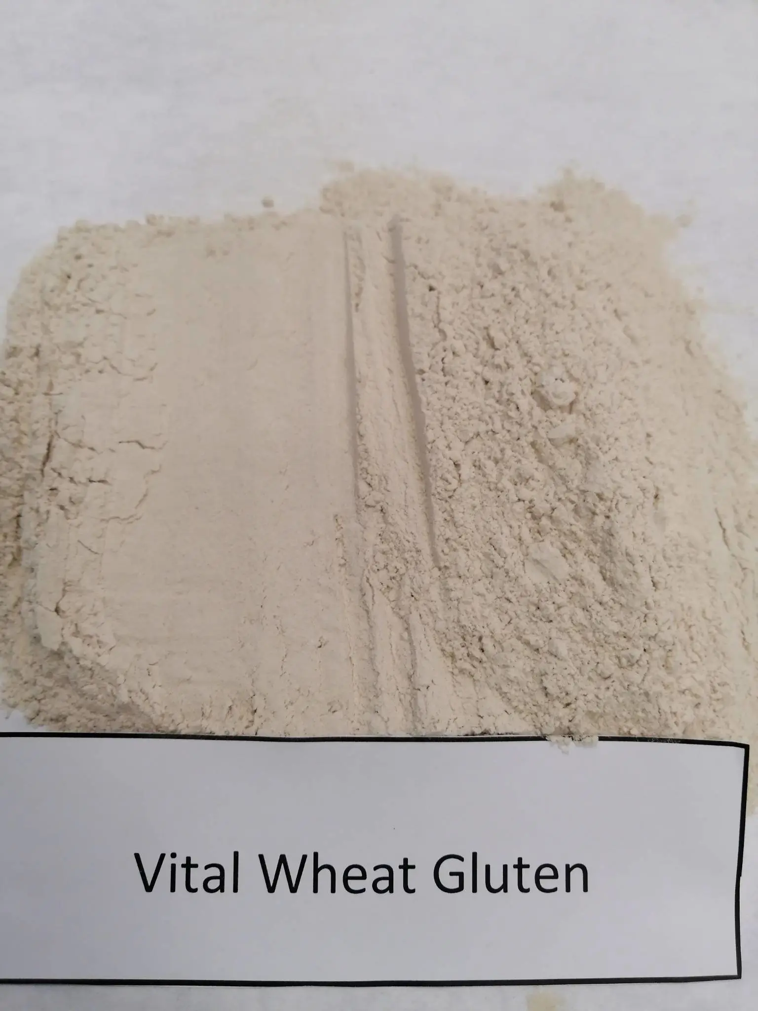 Vital Wheat Gluten