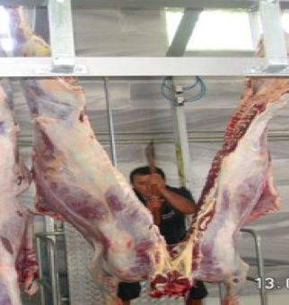Carcass Splitting Saw