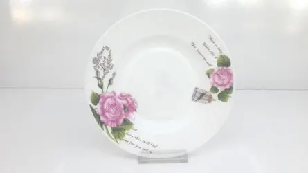 Dish