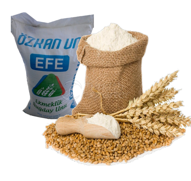 Efe Bread Flour