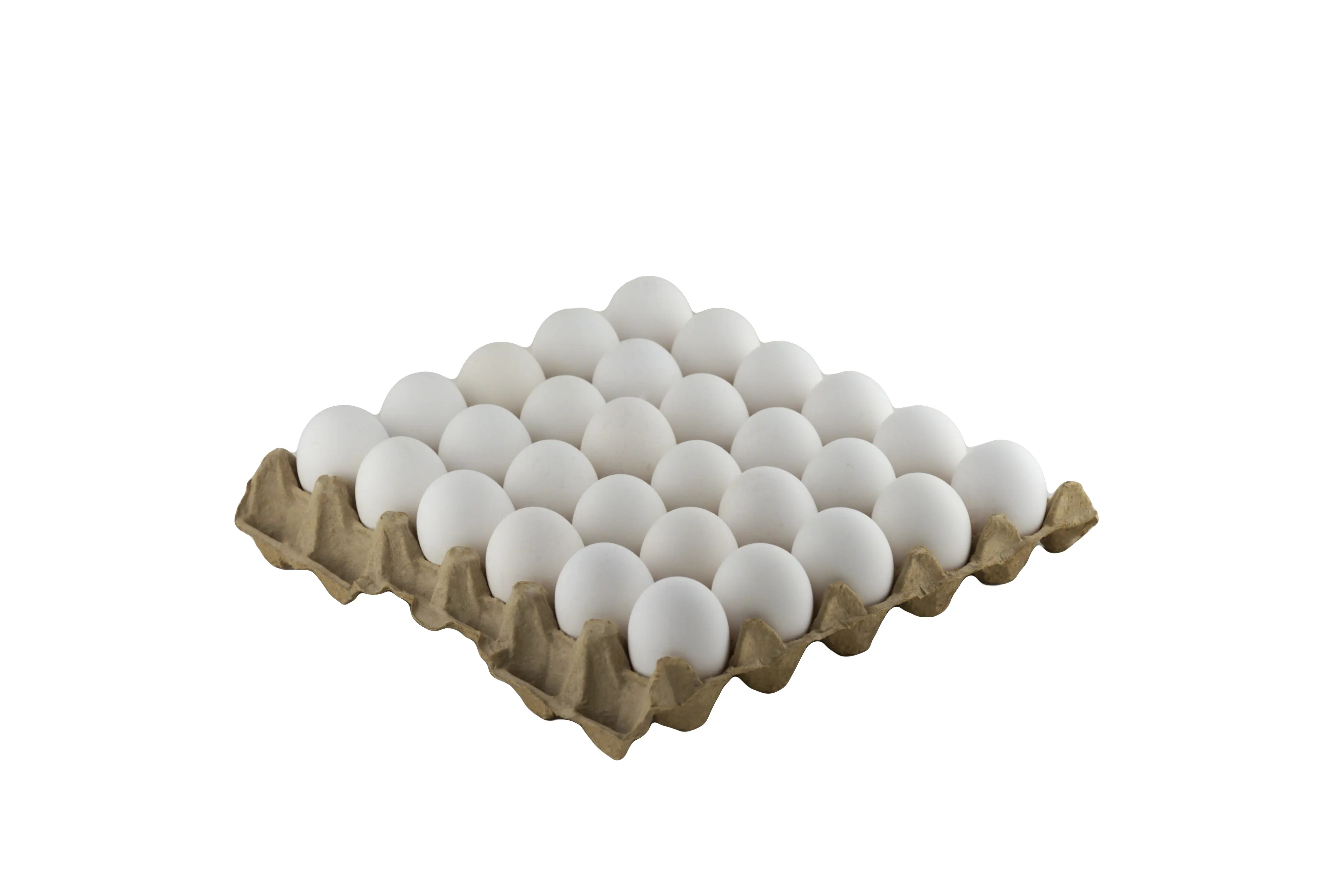 egg trays