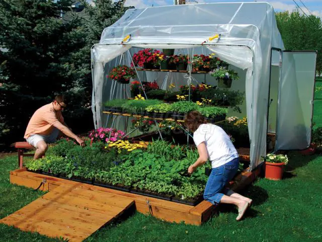 Agricultural Project