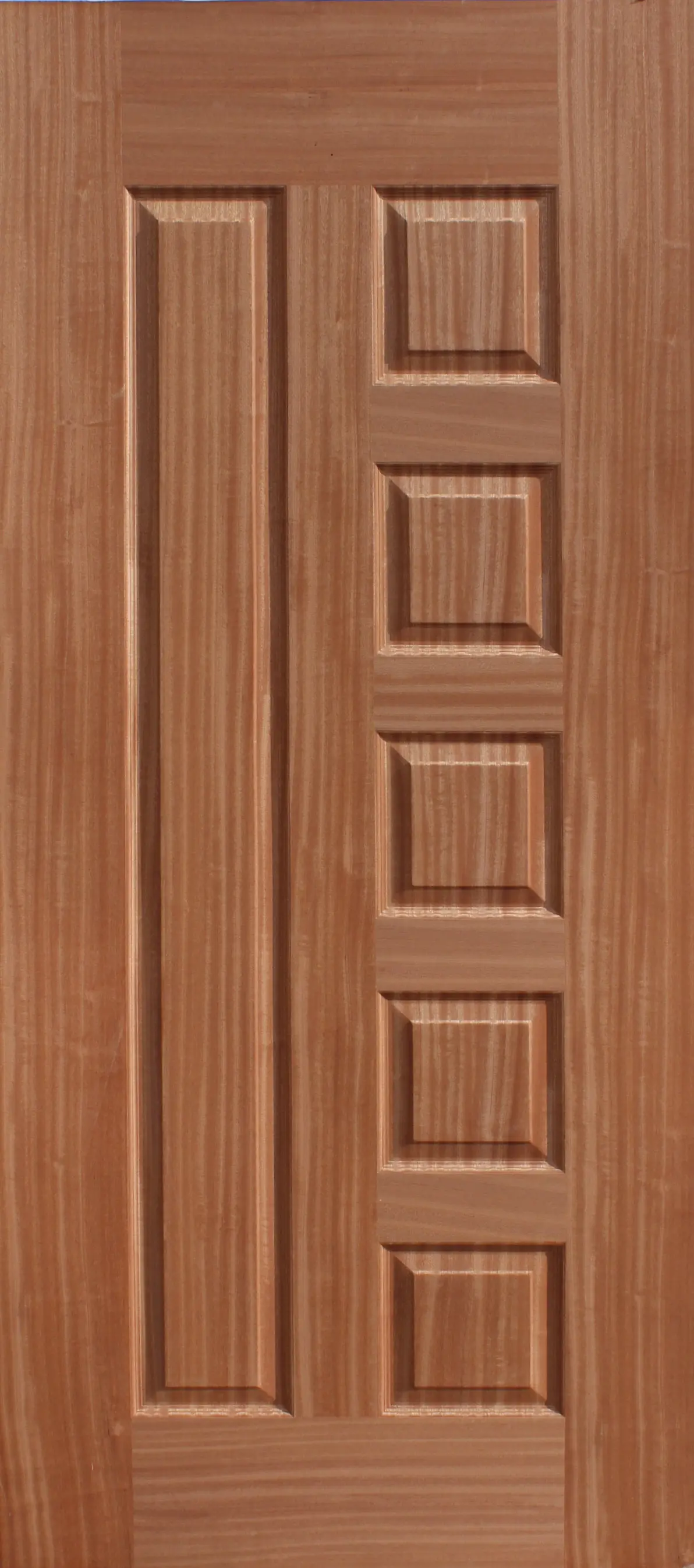 PUERTAS Y FASES DE PUERTA DE MADERA DE DISEÑO MOLDEADO