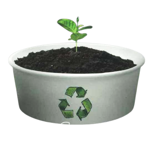 PLA Coated Paper Bowls