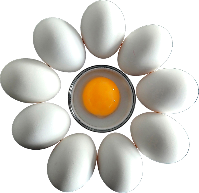 White Egg