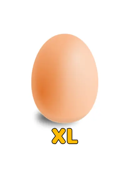 XL Size Egg