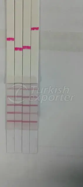 Beta-lactam+TC+STR+CAP Test Kit