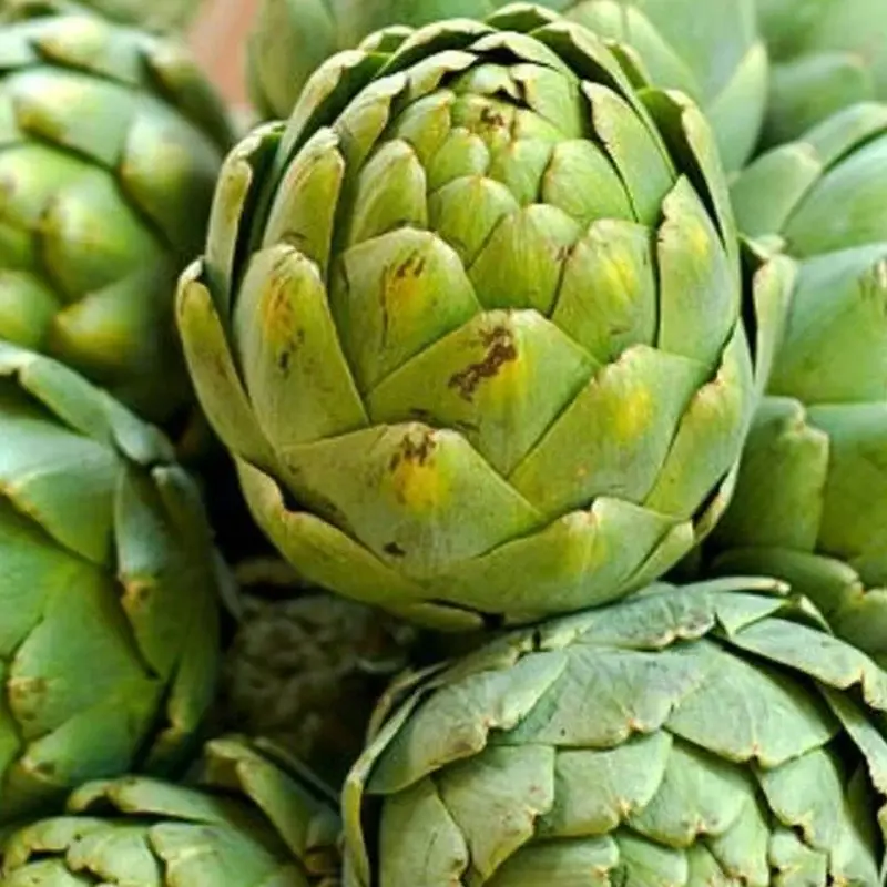 Artichoke