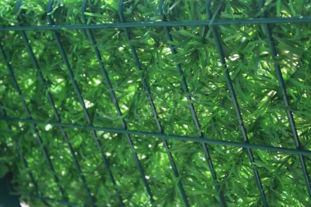 DecoraGrass