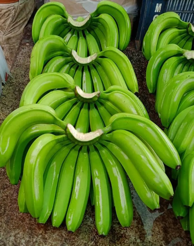 Fresh Bananas