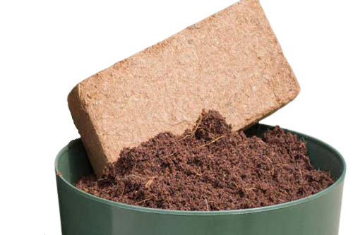 Coco Peat Briquettes