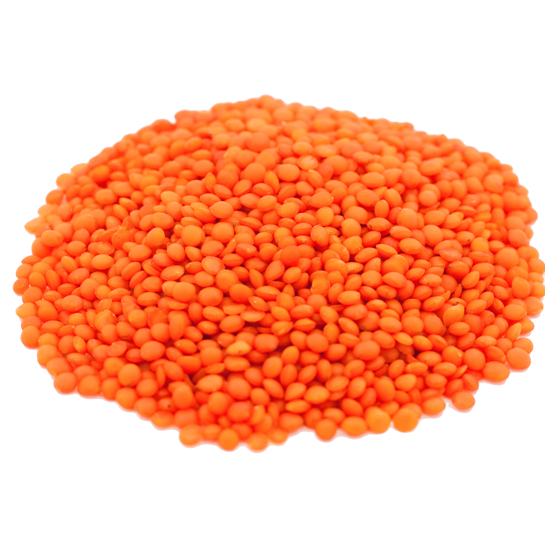 Lentil-Aşkar Sebze Meyve Ltd. ŞTi̇.