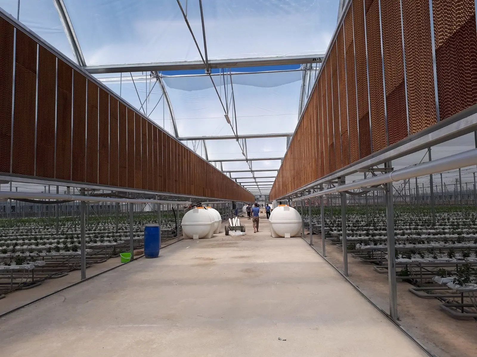 Greenhouse Cooling System