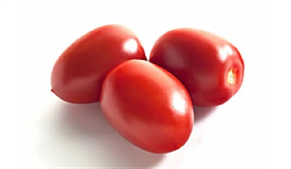 Tomato