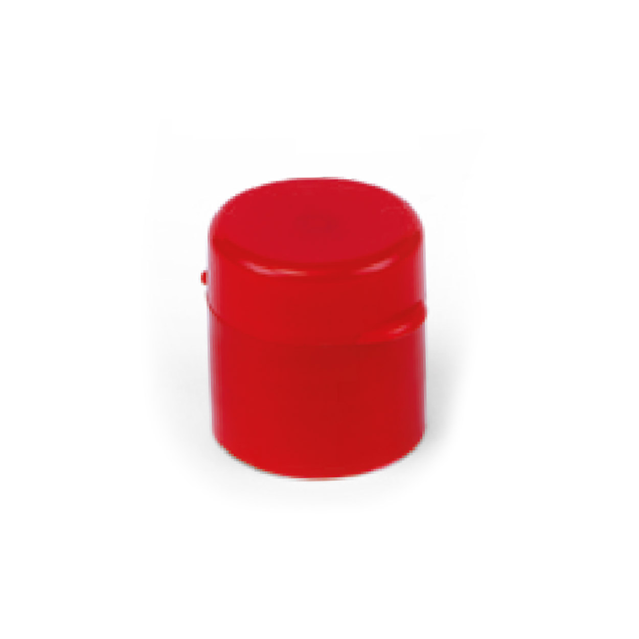Hinged Lid