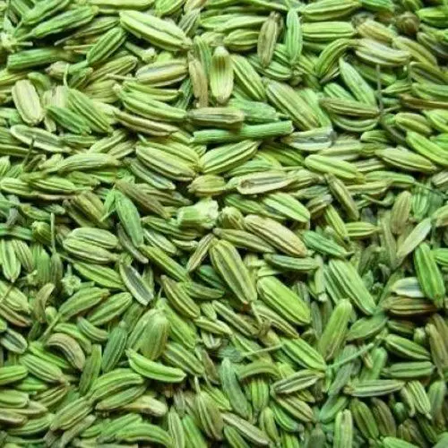 fennel