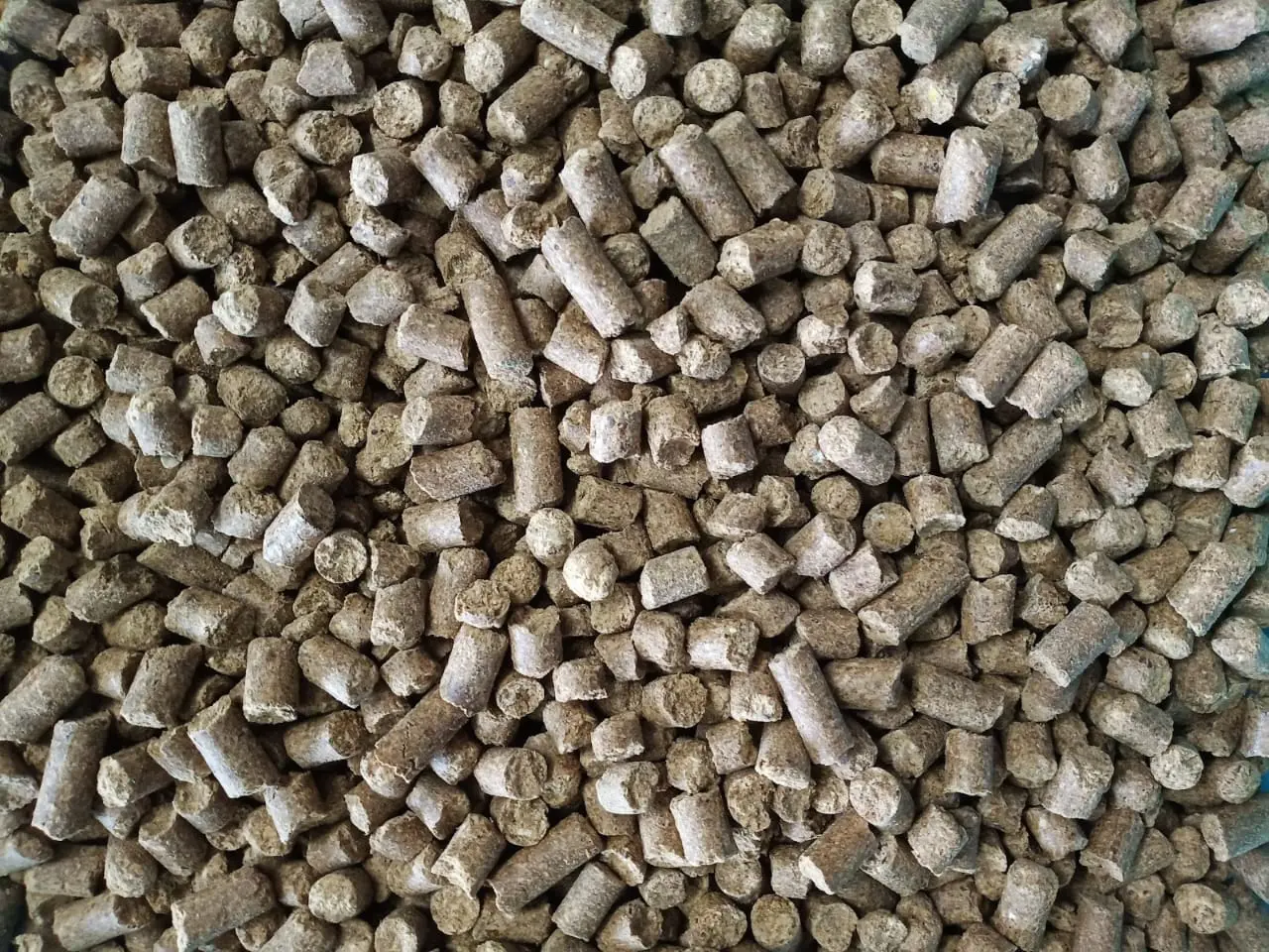 Dairy Gold Cattle Feed