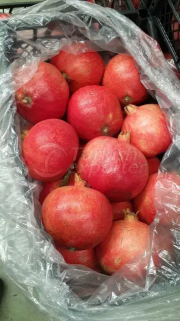 Pomegranate