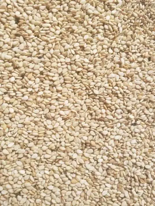 Sesame 