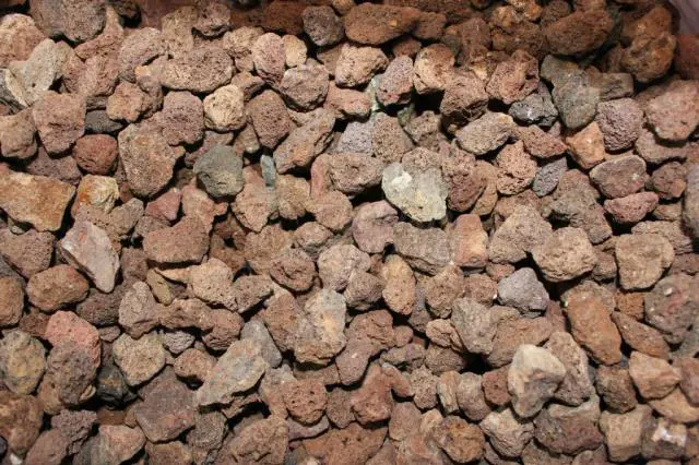 الخفاف التركي